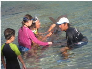 外孫在水族館